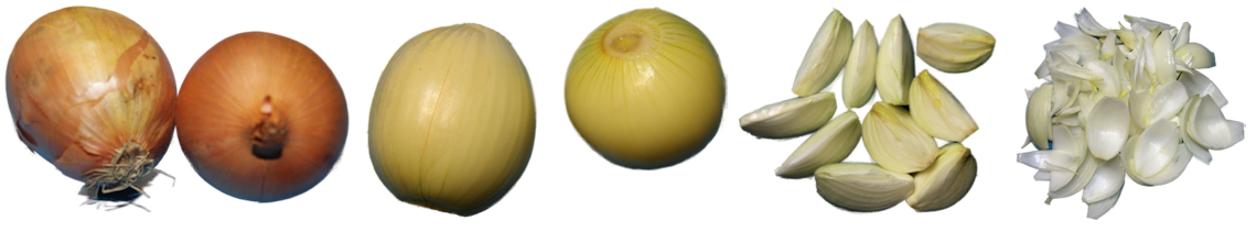 Zwiebeln